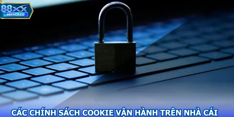 Cách chính sách cookie vận hành trên nền tảng