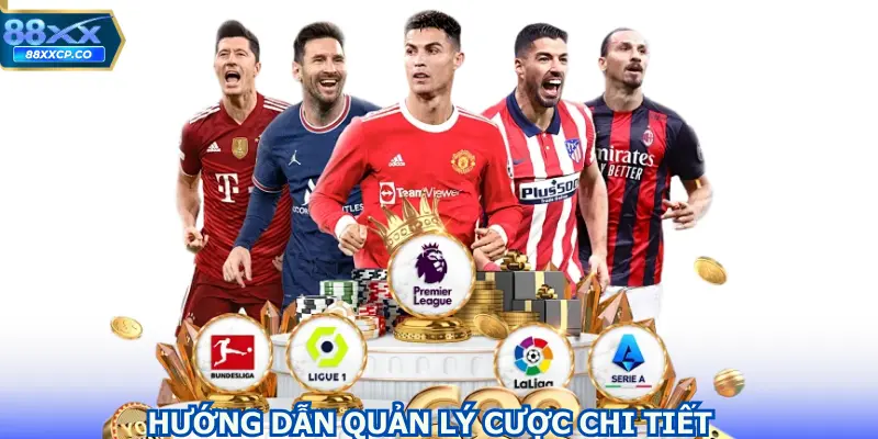Hướng dẫn quản lý cược chi tiết